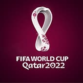 Budweiser campaign in the FIFA World Cup