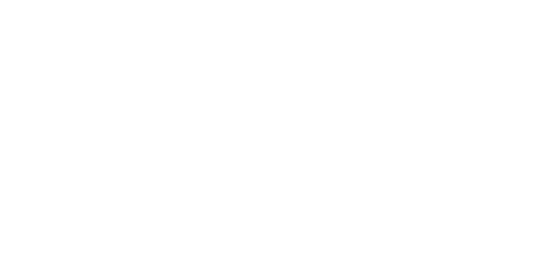 Pakistan Super League Logo