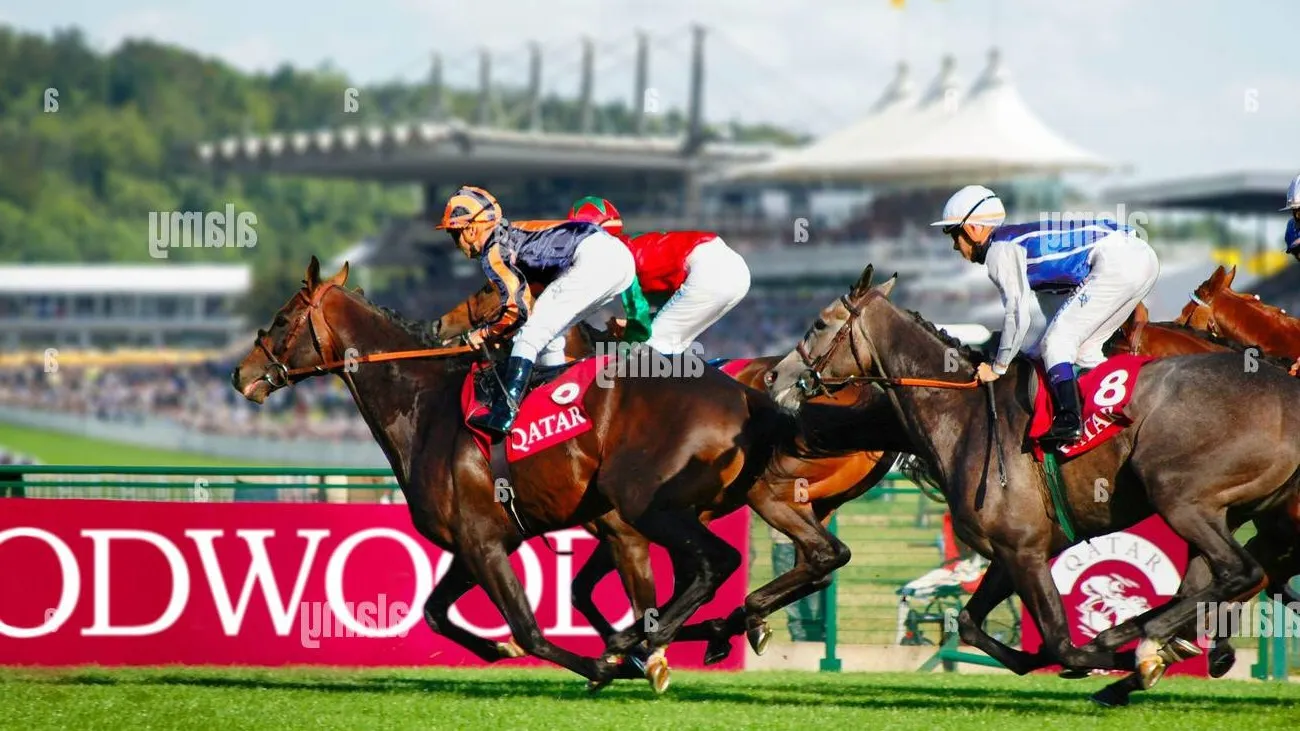 Horse racing festival finish with trackside sports sponsorship and hospitality branding - World Sports Advertising
