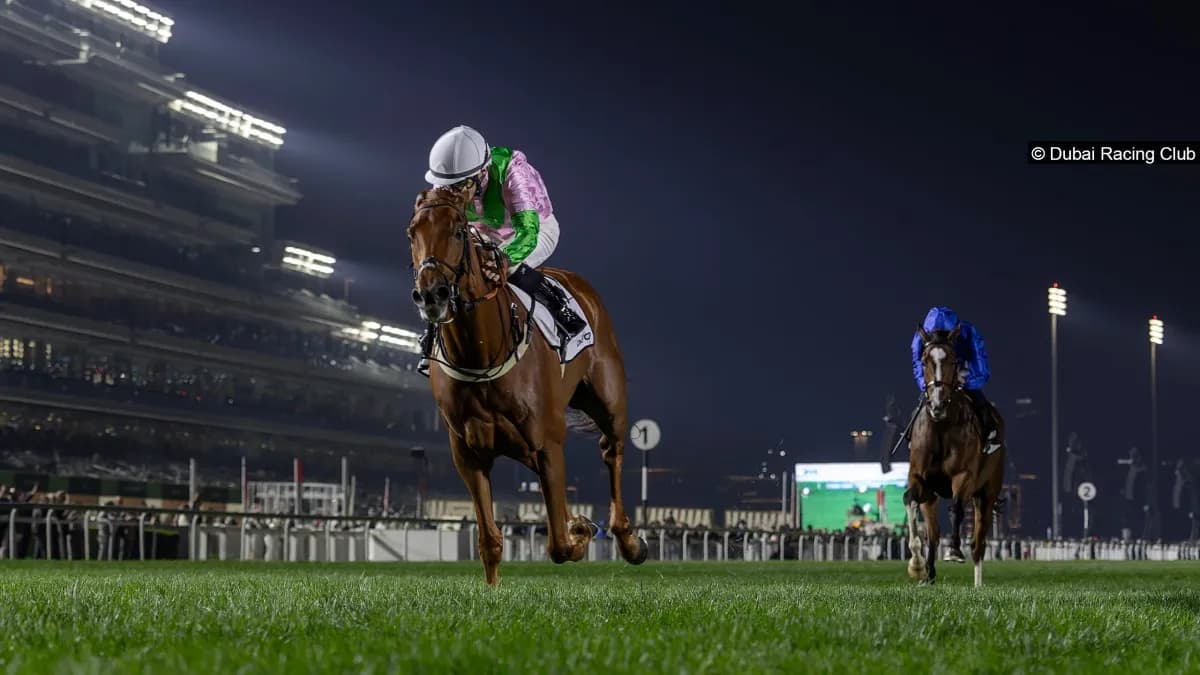Horse racing events that shape global sports partnerships