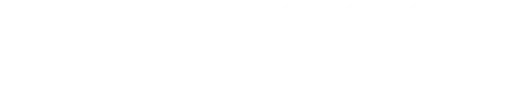 NASCAR Logo